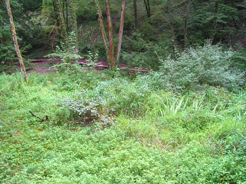 03_entreroches-marais